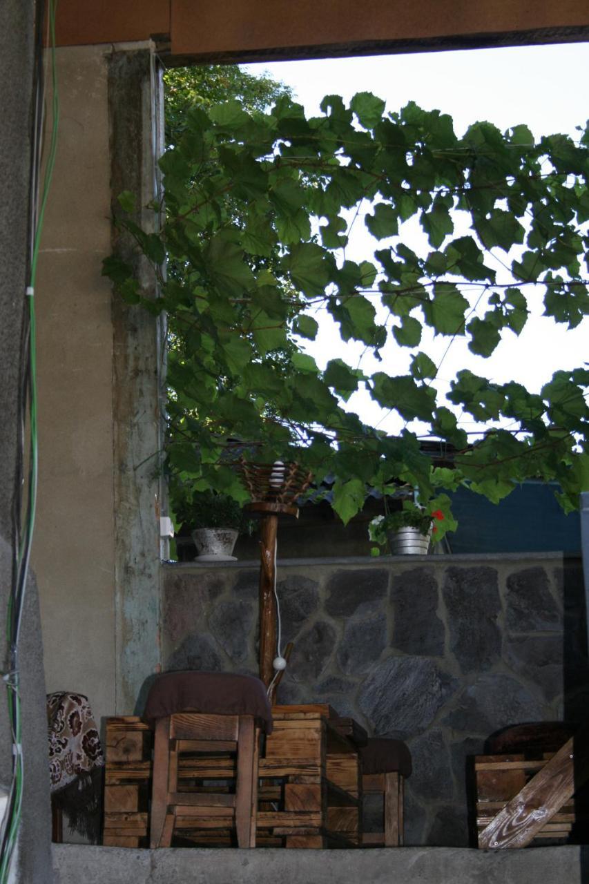 Guest House Nima Borjomi Ngoại thất bức ảnh