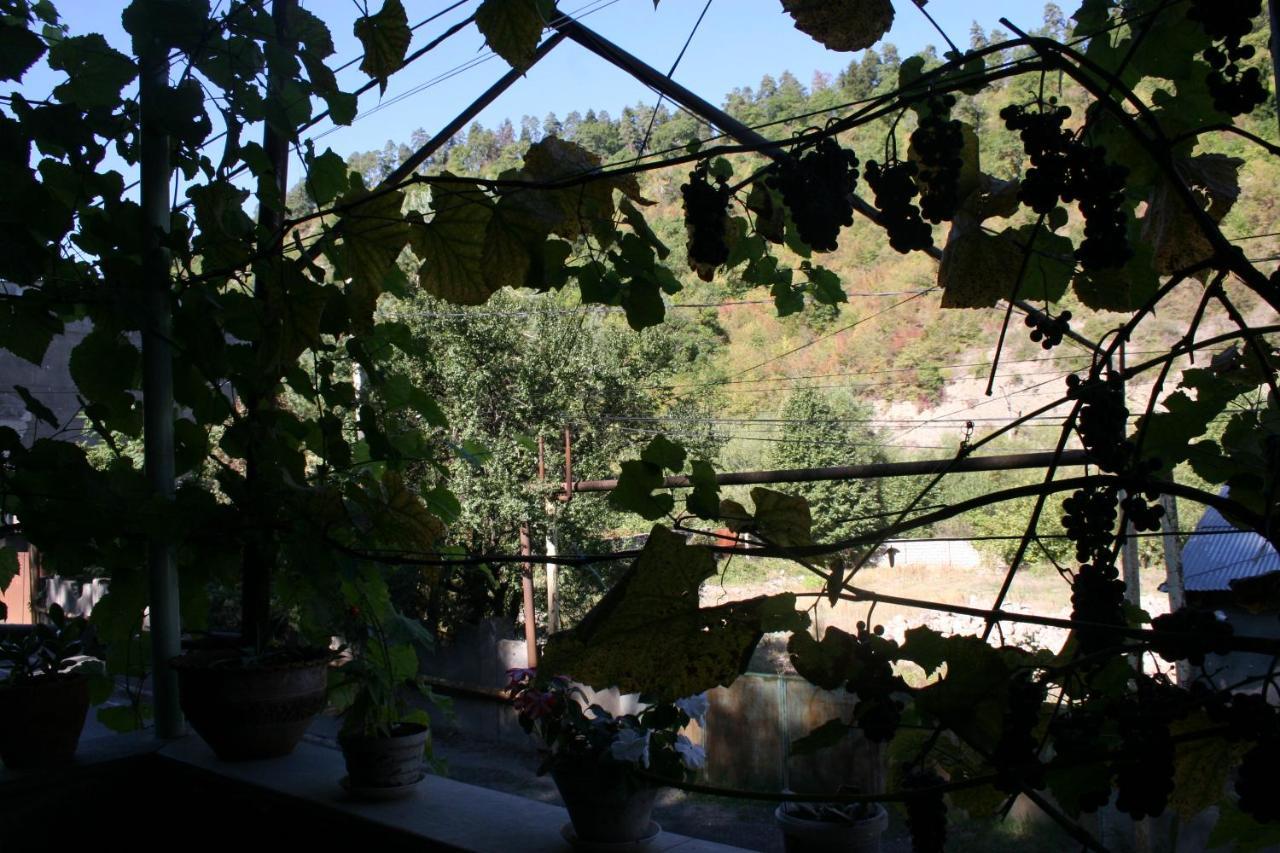 Guest House Nima Borjomi Ngoại thất bức ảnh